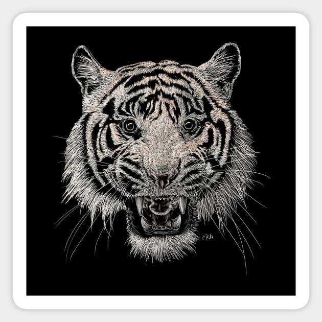 Bengal Tiger Sticker by Walking in Nature